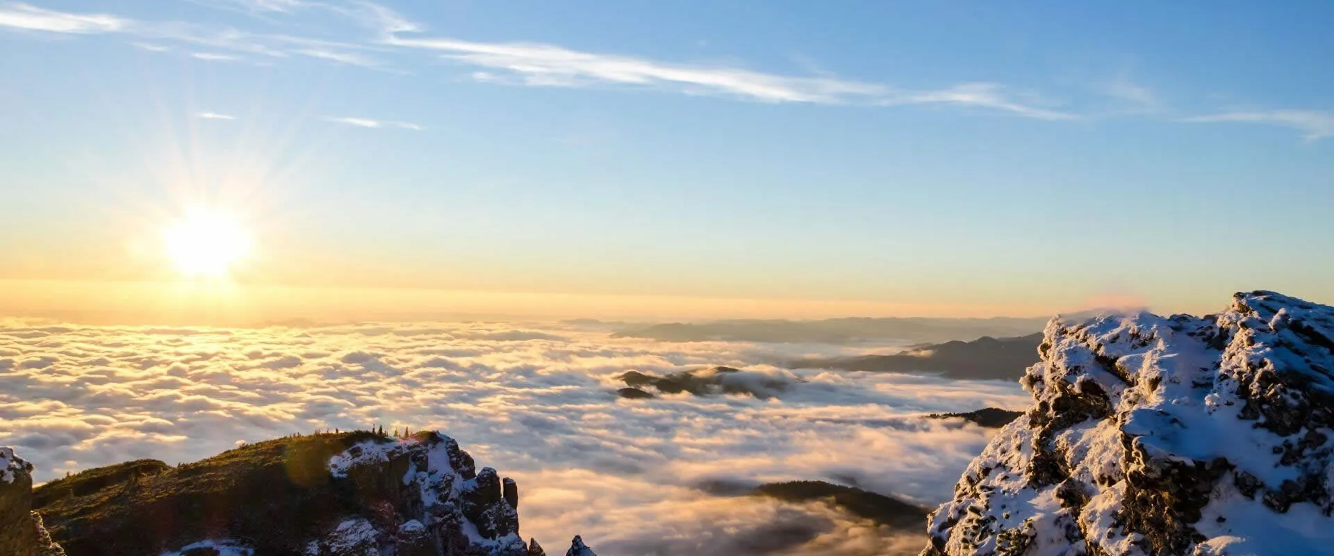 Corporación integrada