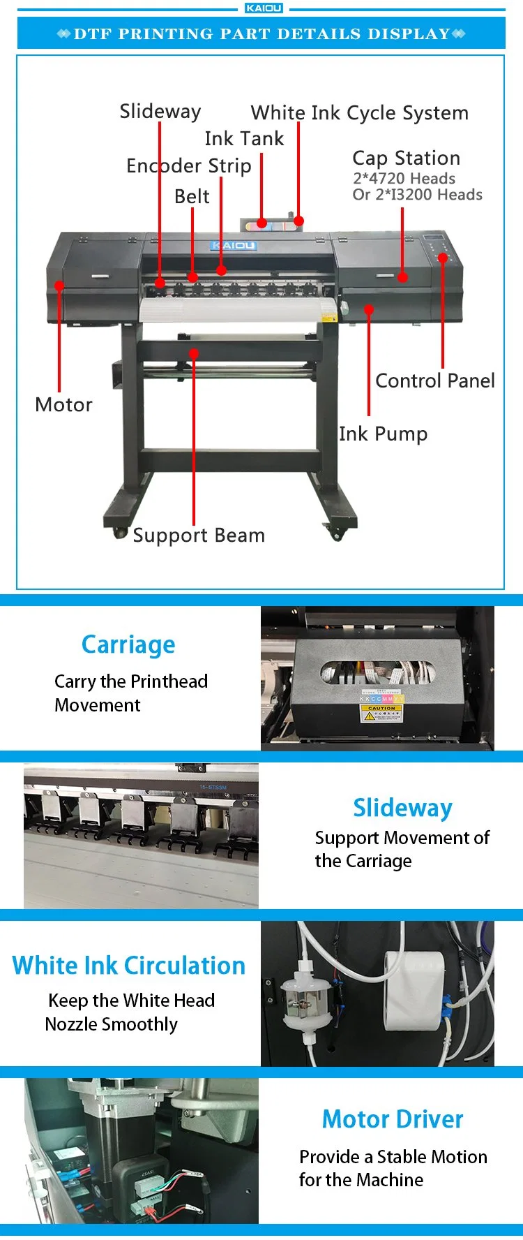 Kaiou High Quality 60cm Dtf Printer 2 PCS I3200/4720 Printhead with Powder Shaking Machine Printing Garment